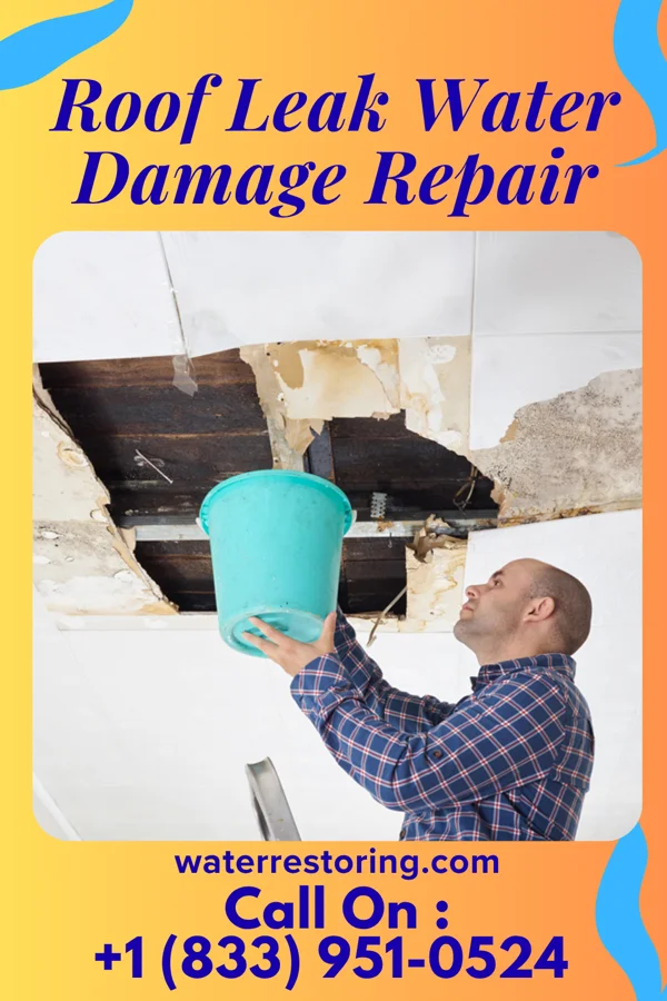 Roof Leak Water Damage Repair in Schram City, IL
